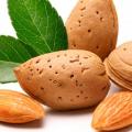 Chim brown almond, dominancia y contraindicaciones Chim brown almond pea para mujer
