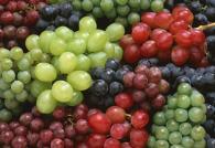 Encurtido de uvas para el invierno: receta sin esterilización Encurtido de uvas para el invierno receta